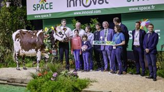 Pataya remporte le concours Normande du Space 2024. Pataya remporte le concours Normande du Space 2024.