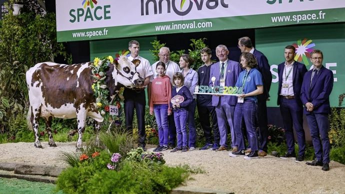 Pataya remporte le concours Normande du Space 2024.