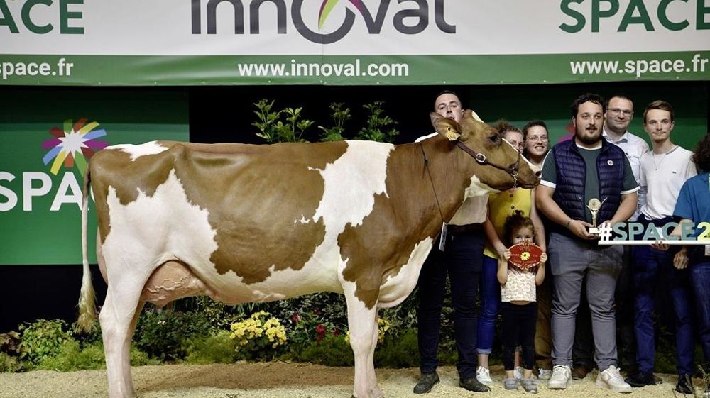 Pensée gagnante du concours Pie Rouge au Space 2024