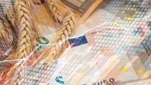 Sur Euronext, sur les échéances les plus rapprochées, le cours du blé s'est stabilisé ce mercredi autour de 221 €/t sur les échéances les plus rapprochées.
