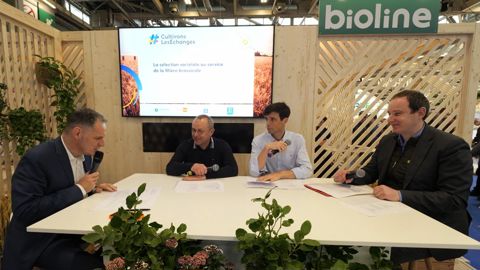 Durabilité, sélection variétale, IA... au service de la filière brassicole