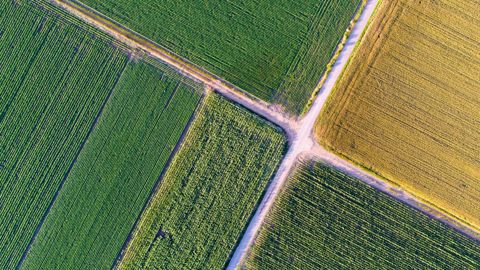 115 agriculteurs en Ile-de-France se sont engagés dans le programme subventionné Eau de Paris pour réduire leurs recours aux produits phytosanitaires.