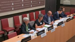 Pour la Confédération paysanne, le climat va accentuer les crises sanitaires et de production à l'avenir. Pour la Confédération paysanne, le climat va accentuer les crises sanitaires et de production à l'avenir.
