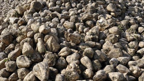 Bioéthanol France dénonce, avec le secteur du biodiesel, « des importation de biocarburants produits en Chine à partir d’huiles usagées frauduleuses », qui créent des effets d'éviction sur les biocarburants européen. Bioéthanol France dénonce, avec le secteur du biodiesel, « des importation de biocarburants produits en Chine à partir d’huiles usagées frauduleuses », qui créent des effets d'éviction sur les biocarburants européen.