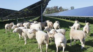 Dans sa vision du photovoltaïque, la chambre d'agriculture de la Bretagne veut éviter tout projet alibi et demande que l'agriculture reste prioritaire. Dans sa vision du photovoltaïque, la chambre d'agriculture de la Bretagne veut éviter tout projet alibi et demande que l'agriculture reste prioritaire.