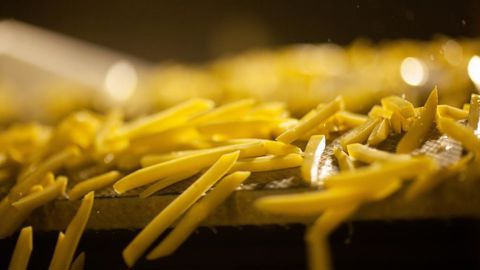 Parmi les projets industriels déjà lancés ou à venir, la nouvelle usine Clarebout Potatoes de Dunkerque aura besoin d'environ 10 000 ha de pommes de terre pour atteindre son rythme de croisière. Parmi les projets industriels déjà lancés ou à venir, la nouvelle usine Clarebout Potatoes de Dunkerque aura besoin d'environ 10 000 ha de pommes de terre pour atteindre son rythme de croisière.