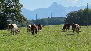 Le fermage doit obligatoirement être compris dans les limites maximales et minimales arrêtées par le barème préfectoral. Le fermage doit obligatoirement être compris dans les limites maximales et minimales arrêtées par le barème préfectoral.