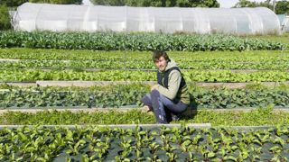 Le maraîchage sur sol vivant vise à reconstituer le cycle naturel de la fertilité des sols. Le maraîchage sur sol vivant vise à reconstituer le cycle naturel de la fertilité des sols.