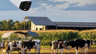 TLB détermine les zones de surveillance les plus pertinentes sur l’exploitation, en se concentrant principalement sur les points de passage obligés et les zones à risque.