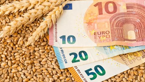Le prix du blé « ne va pas fléchir beaucoup », prévoit Dewey Strickler, analyste chez Ag Watch Market Advisors, qui cite les récents bombardements en mer Noire.