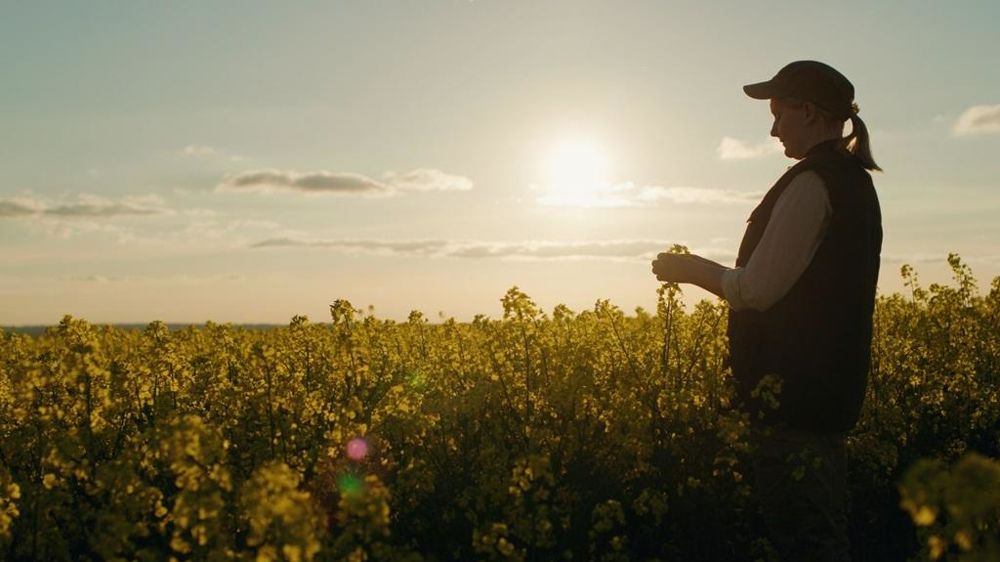 Agricultrice dans un champ de colza