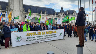 L'association Santé Avenir Environnement a organisé une manifestation samedi à La Rochelle. 400 personnes ont répondu à son appel. L'association Santé Avenir Environnement a organisé une manifestation samedi à La Rochelle. 400 personnes ont répondu à son appel.
