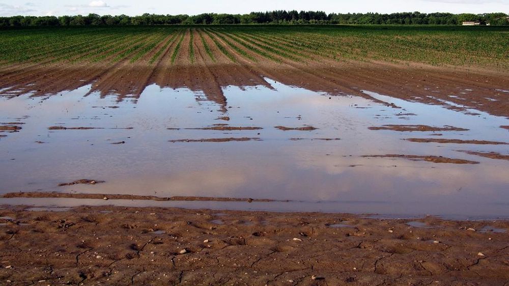Parcelle de grandes cultures inondée.