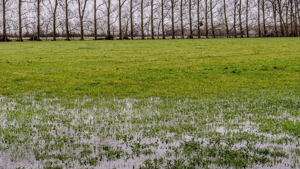 Il existe par endroits des risques d'inondations par « remontées de nappe » selon leur réactivité, explique le BRGM.