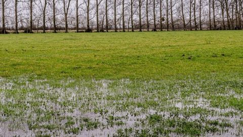 Il existe par endroits des risques d'inondations par « remontées de nappe » selon leur réactivité, explique le BRGM. Il existe par endroits des risques d'inondations par « remontées de nappe » selon leur réactivité, explique le BRGM.