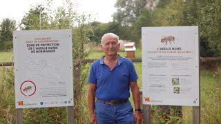Jean-Marie Godier, président de l’Abeille normande du Calvados, apprécie la rusticité et la douceur de l’abeille noire.