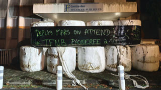 Dans la nuit de vendredi à samedi dans le Gers, une soixantaine d'agriculteurs ont déversé de la laine de mouton, des bottes de foin et de la paille devant plusieurs bâtiments de l'Etat à Auch, à l'appel de la Coordination rurale. Dans la nuit de vendredi à samedi dans le Gers, une soixantaine d'agriculteurs ont déversé de la laine de mouton, des bottes de foin et de la paille devant plusieurs bâtiments de l'Etat à Auch, à l'appel de la Coordination rurale.