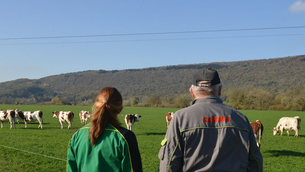 Le jeune éleveur, récemment installé, est toujours plus sensible au risque du fait notamment du poids de ses emprunts.