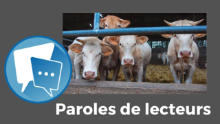 Qu'en pensez-vous ? Dites-nous en commentaires ! Qu'en pensez-vous ? Dites-nous en commentaires !