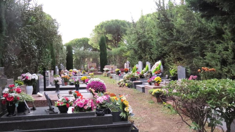 Selon un sondage réalisé récemment par le réseau de fleuristes Florajet, un tiers des Français ne fleurissent pas les tombes à la Toussaint, en particulier les moins de 35 ans…