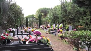 Selon un sondage réalisé récemment par le réseau de fleuristes Florajet, un tiers des Français ne fleurissent pas les tombes à la Toussaint, en particulier les moins de 35 ans…