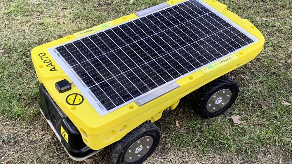 Vitirover, un robot de tonte. Vitirover, un robot de tonte.