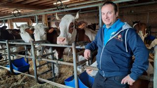 Le bâtiment de Laure et Damien Paris comporte deux rangées cul-à-cul de 18 vaches et 24 vaches en lactations. Le couloir entre les deux est large de 3 m. Dans leur prolongement sont hébergées les génisses de plus de 18 mois, 6 vaches taries et le box de vêlage. Le bâtiment de Laure et Damien Paris comporte deux rangées cul-à-cul de 18 vaches et 24 vaches en lactations. Le couloir entre les deux est large de 3 m. Dans leur prolongement sont hébergées les génisses de plus de 18 mois, 6 vaches taries et le box de vêlage.