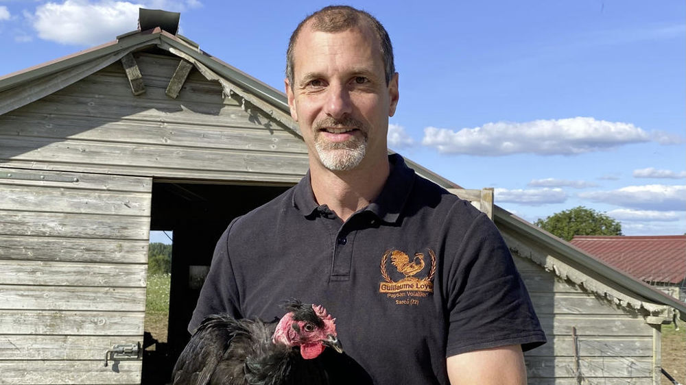 En plein territoire des poulets fermiers de Loué (Label Rouge ou biologique), Guillaume Loyer revendique son indépendance.