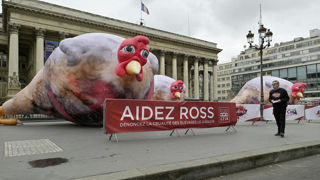 À la fin d'avril 2024, L214 avait mené une campagne contre l'élevage de poulets. À la fin d'avril 2024, L214 avait mené une campagne contre l'élevage de poulets.