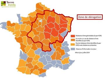 Zone de dérogation pour le Minecto Gold en 2024
