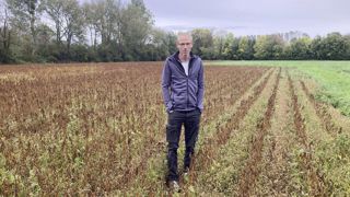 Vincent Decoux recherche l'autonomie alimentaire. Il a cultivé cette année du soja destiné à l'alimentation humaine. Et envisage à l'avenir d'en produire pour ses chèvres.