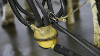 Intermarché demande aux industriels laitiers de fixer le prix du lait avec les éleveurs, avant d’entamer les négociations commerciales. Intermarché demande aux industriels laitiers de fixer le prix du lait avec les éleveurs, avant d’entamer les négociations commerciales.