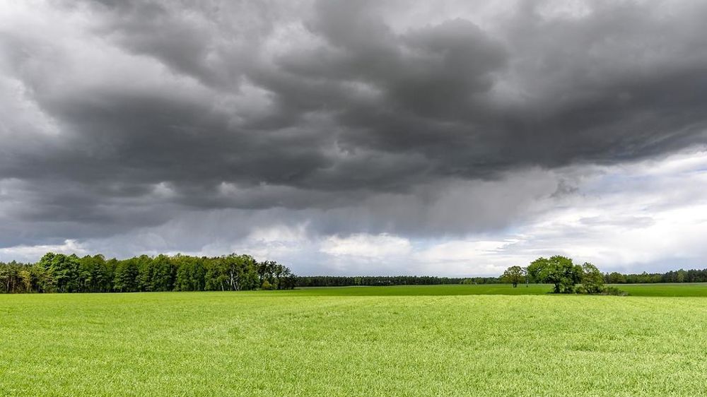 Champ  sous un ciel nuageux et orageux.