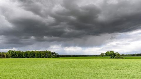 La pluie et le froid sont annoncés en France. La pluie et le froid sont annoncés en France.