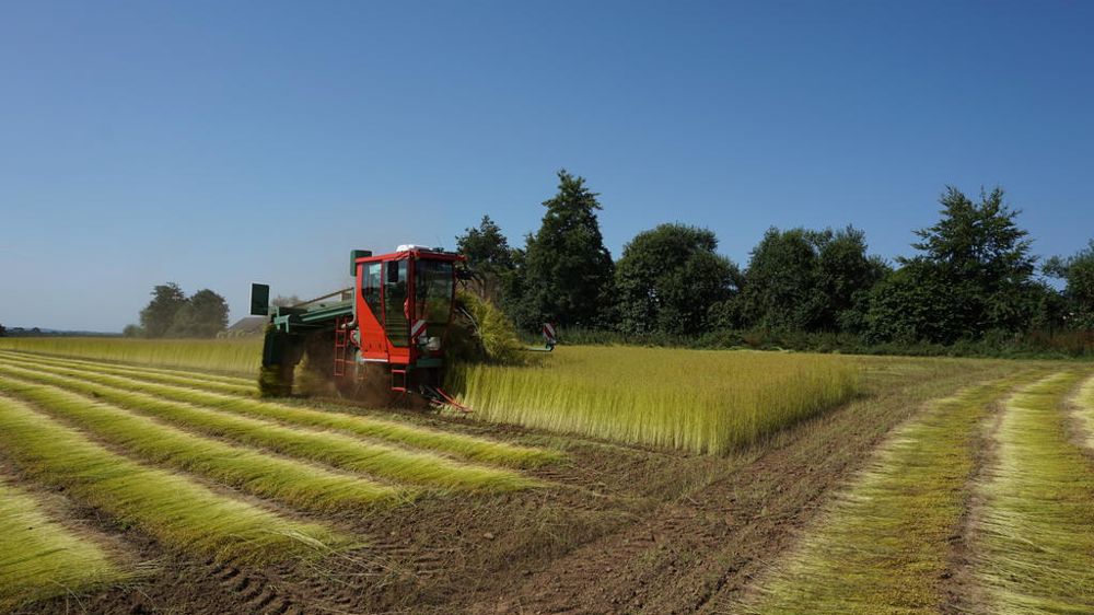 L’ETA Le Caap, implantée dans le Finistère, a arraché 300 ha de lin textile avec une arracheuse double de 2x1,2 m.