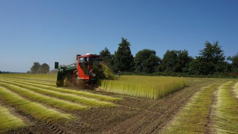 L’ETA Le Caap, implantée dans le Finistère, a arraché 300 ha de lin textile avec une arracheuse double de 2x1,2 m.