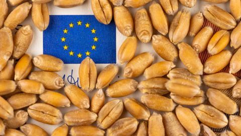 L'estimation de production 2024 de blé tendre dans l'Union européenne tombe à 112,6 Mt, contre 125,5 Mt en 2023.
