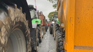 Faut-il aller manifester ou non ? Oui pour la plupart, quelle que soit l'étiquette syndicale, mais à condition d'avoir le bon objectif en tête : la rémunération !