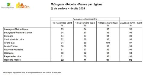 Avancement de la récolte de maïs grain 2024 au 18 novembre