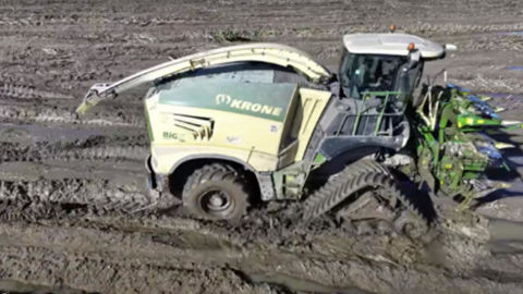 Les intempéries ont fortement compliqué les chantiers d'ensilage, avec de nombreuses machines embourbées. Les intempéries ont fortement compliqué les chantiers d'ensilage, avec de nombreuses machines embourbées.