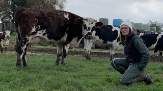 Parmi les 8 vaches recensées en lactation longue en cette fin d’année, deux sont normandes. Les six autres sont des holsteins. Elles ne reflètent pas la proportion des deux races dans le troupeau d’Aurélie Sébault : 43 %.chacune