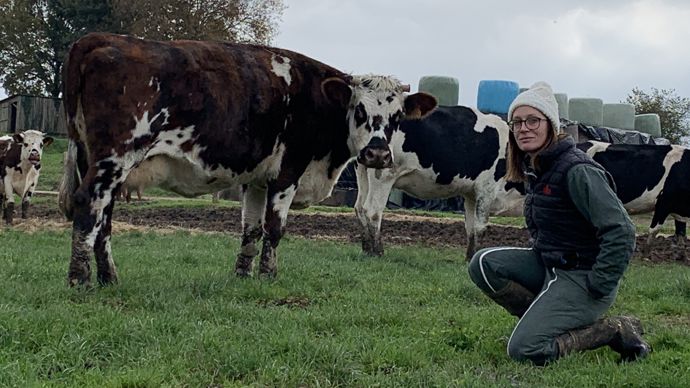 Parmi les 8 vaches recensées en lactation longue en cette fin d’année, deux sont normandes. Les six autres sont des holsteins. Elles ne reflètent pas la proportion des deux races dans le troupeau d’Aurélie Sébault : 43 %.chacune