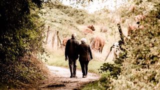 Dans les transmissions à un tiers extérieur, comme familiales, l'exploitation agricole est d'abord un outil de travail, une entreprise comme une autre. Dans les transmissions à un tiers extérieur, comme familiales, l'exploitation agricole est d'abord un outil de travail, une entreprise comme une autre.