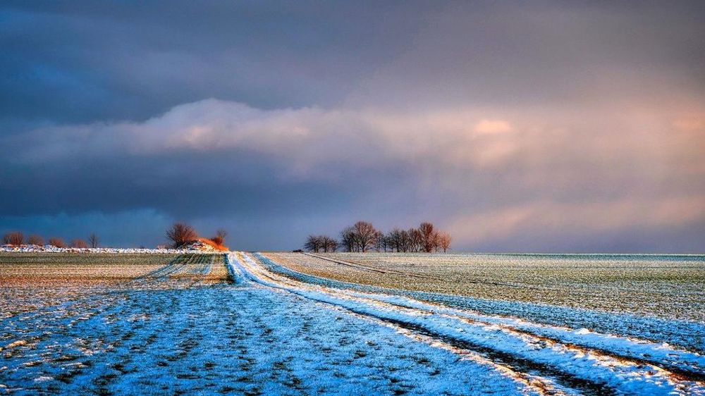 Champ couvert d'une couche de neige.