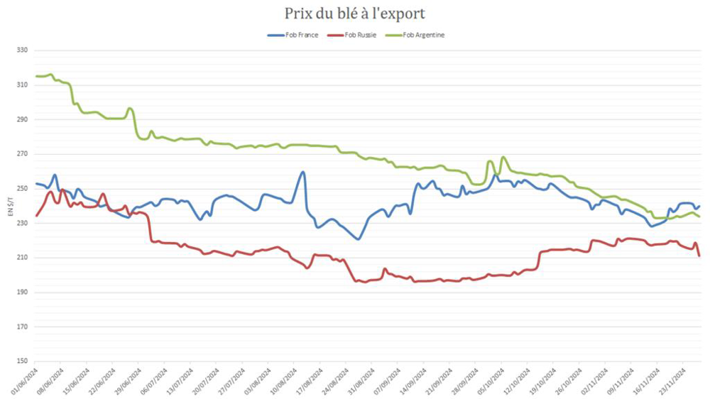 Le blé argentin a rapidement reculé avec l'avancée des moissons. Le blé argentin a rapidement reculé avec l'avancée des moissons.