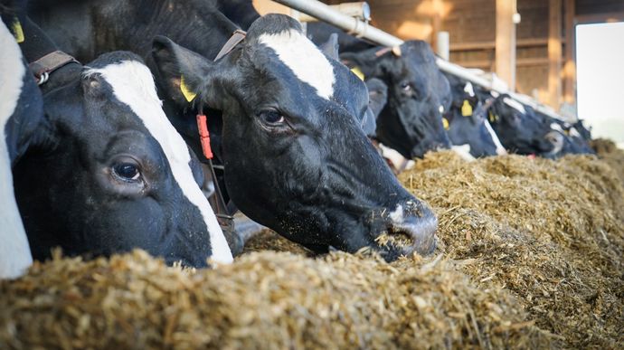 Avec EnergyBoost, faites le choix de la productivité ET de la rentabilité