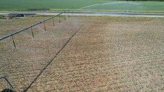 L'entreprise veut déployer son dispositif sur l'ensemble de la surface irriguée qui alimente son usine, d'ici à 2025-2026. L'entreprise veut déployer son dispositif sur l'ensemble de la surface irriguée qui alimente son usine, d'ici à 2025-2026.