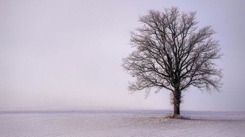 Un temps hivernal est attendu à partir de dimanche.