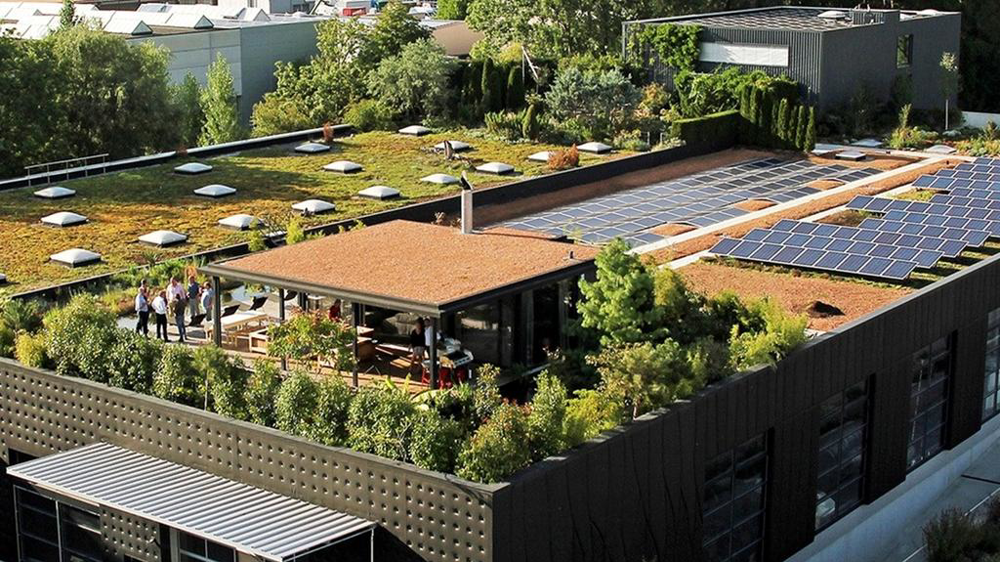 L’Adivet écrit actuellement un guide sur les toitures biosolaires, capables d’accueillir des panneaux photovoltaïques tout en laissant place à la végétation.