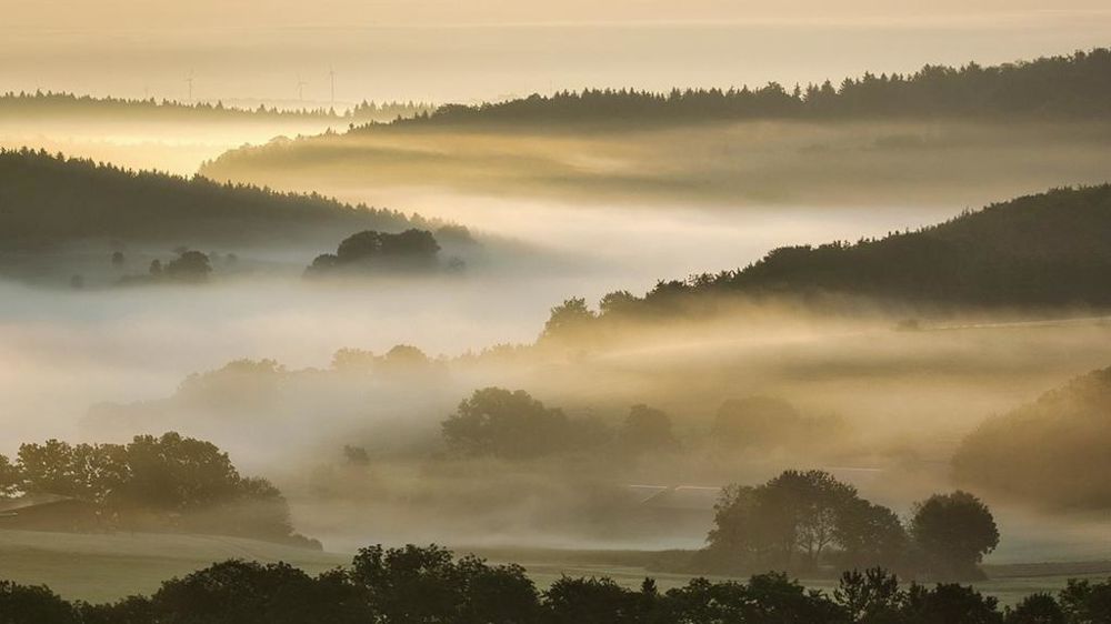 Brouillard